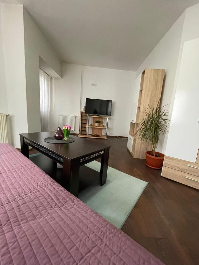 Apartament Old Center Bucurestiアパートメント エクステリア 写真