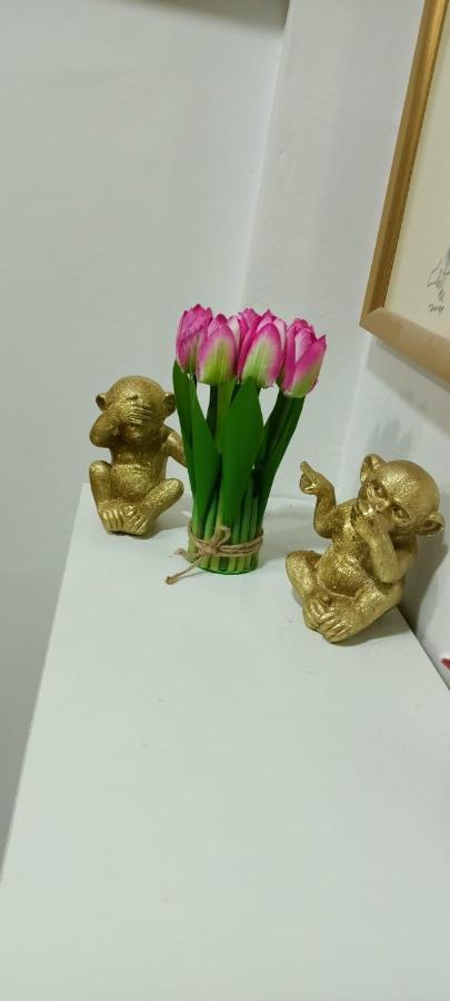 Apartament Old Center Bucurestiアパートメント エクステリア 写真